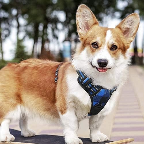 rabbitgoo Dog Harness No-Pull, Comfortable Padded Plaid Harness with Handle Easy Control, Adjustable Reflective Pet Vest with 2 Leash Clips for Small Dog, Blue Plaid, S-Mewly Pet