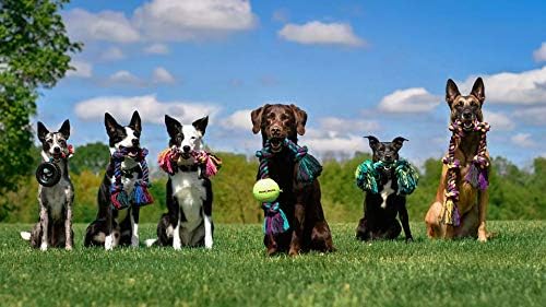 Mammoth Flossy Chews Rope Tug – Premium Cotton-Poly Tug Toy for Dogs – Interactive Rope Toy (Colors May Vary)-Mewly Pet