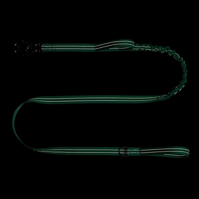 ICEFANG Tactical Dog Leash,K9 Training Walking Bungee Lead with 2 Control Handle,Heavy Duty Quick Release Metal Clasp,for Medium Large Breed (Teal, 6 FT)-Mewly Pet