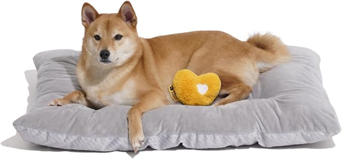 FUNNY FUZZY Dog Bed Crate Pad Mat, Washable Reversible Pet Floor Mats,Fluffy Kennel Pad for Large Sized Dog,Indoor Cats,Sleeping Mattress, 35.4" × 22.8", Light Grey-Mewly Pet