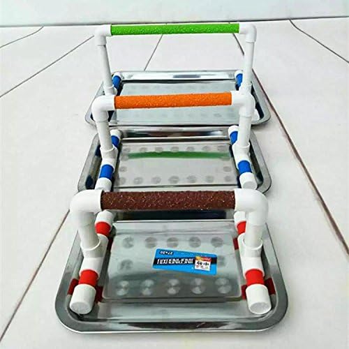 Hypeety Small Bird Parrot Stand Perch Table Top Stand Playground Grind Perch Swing Training Playstand Exercise Chew Toys for Budgies Parakeet Cockatiel Conure Finch (Stainless Steel Tray, L)-Mewly Pet