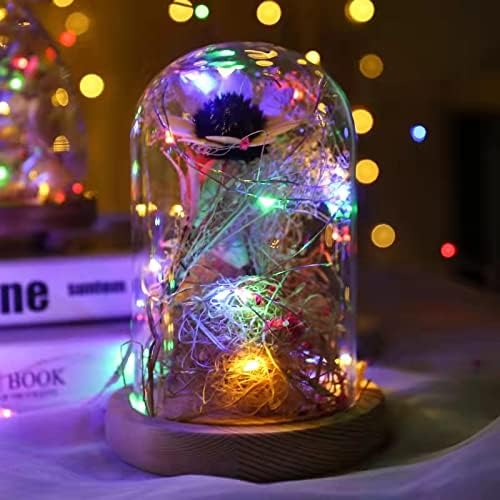 Sanniu Led Fairy Lights Battery Operated, 1 Pack Mini Battery Powered Copper Wire Starry String Lights for Christmas,Bedroom,Wedding,Parties,Patio,Indoor,Home Decoration (5m/16ft Multicolor)