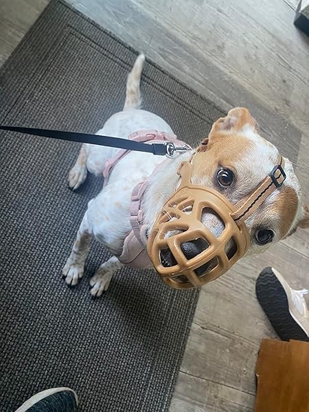 Mayerzon Dog Muzzle, Breathable Basket Muzzles for Small, Medium, Large and X-Large Aggressive Dogs Beagle German Shepherd Doberman, Cage Mouth Guard Stop Biting Chewing for Grooming Training-Mewly Pet