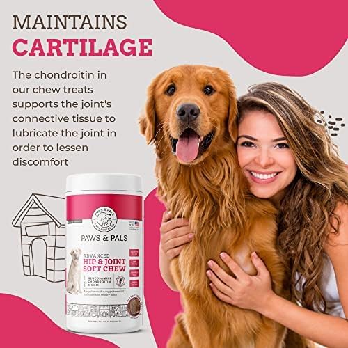 Paws & Pals Glucosamine Chondroitin MSM for dogs 240 Count, Hip and Joint Mobility Soft Chews Supplement, Pain & Inflammation Relief for all breeds - Maximum Strength, Treats Hip Dysplasia & Arthritis-Mewly Pet