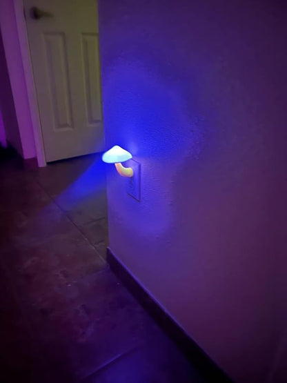 AUSAYE Blue Led Lamp Mushroom Nigh Light,Plug in Nightlight,Sensor Night Lights for Kids Adults Bedroom,Bathroom,Toilet,Stairs,Kitchen,Hallway Christmas Thanksgiving Gifts