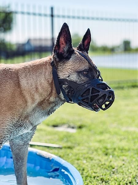 Mayerzon Dog Muzzle, Breathable Basket Muzzles for Small, Medium, Large and X-Large Aggressive Dogs Beagle German Shepherd Doberman, Cage Mouth Guard Stop Biting Chewing for Grooming Training-Mewly Pet