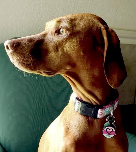 LYP - Our Original Soundless Pet ID Tag - Largest Line of Silicone Dog Tags - No More Jingling Dog Tags -Durable - Never Fades - Customized Deep Engraved Silicone (Heart - Purple)-Mewly Pet