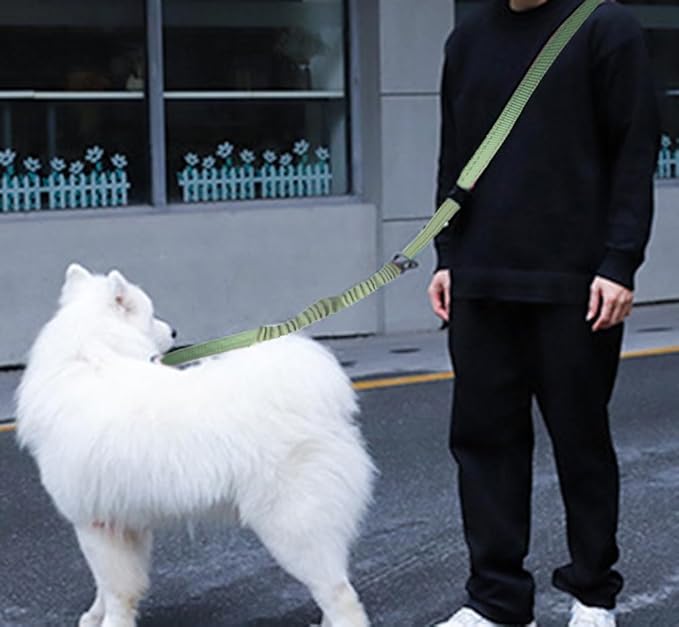 Hands Free Dog Leash for Large Medium Dogs Heavy Duty Bungee Reflective Adjustable Waist Leashes for Walking Running with Car Buckle 4-6FT (Green-1)-Mewly Pet