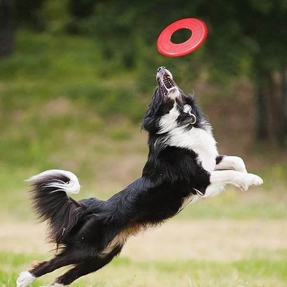 Nerf Dog Atomic Flyer Outdoor Dog Toy, 10 Inch Flying Disc Dog Fetch Toy, Rubber Dog Toy for Medium Dogs and Large Dogs, Red-Mewly Pet