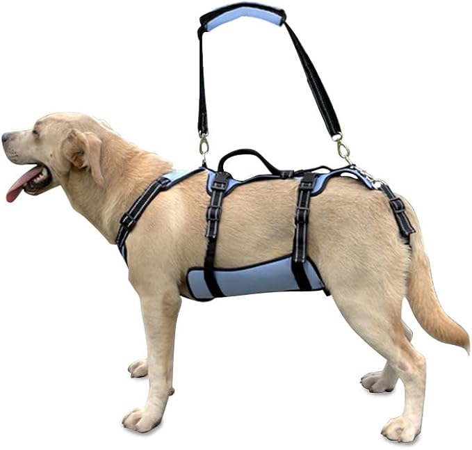 Coodeo Dog Lift Harness, Full Body Support & Recovery Sling, Pet Rehabilitation Lifts Vest for Old Dog with Arthritis Walk(Bule,L)-Mewly Pet