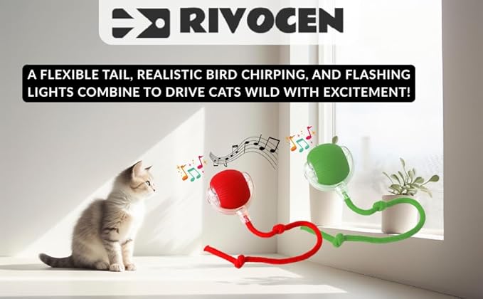 Indoor Cat Interactive Toy 360-degree Automatic Rolling Toy with Floor Flashing and Random Rolling for Cats and Dogs. Continuous Excitement, Fun and Stimulation for Your Cats and Dogs (Green)-Mewly Pet