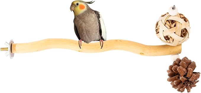 Bird Toys Perch Stand for Cage with Pine Cones, Natural Parrot Toys, Small Chewing Sticks Toys Bird Cage Accessories for Conures Parakeets Cockatoo African Grey Parrots (1PCS)-Mewly Pet