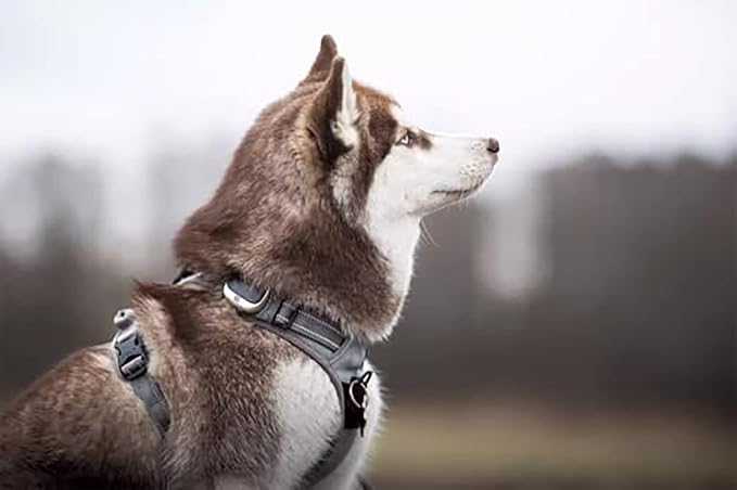 TRUE LOVE Adjustable No-Pull Dog Harness Reflective Pup Vest Harnesses Comfortable Control Brilliant Colors Truelove TLH5651(Gray,M)-Mewly Pet