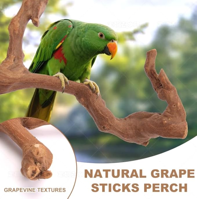 Parrot Perch Bird Perch Stand Set Natural Wild Wood Grape Sticks Paw Grinding Fork Parakeet Climbing Standing Branches Toys Cage Accessories for Conure,Cockatiels Lovebirds,Budgies Chewable 6PC-Mewly Pet