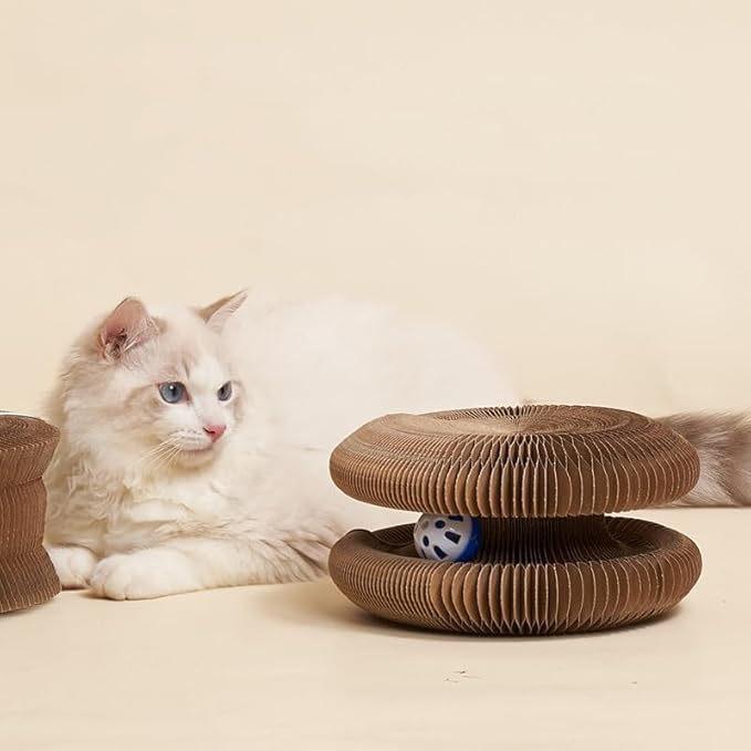 Kitty Curls Cat Toy Kurlz, Interactive Scratch Pad, Foldable Accordion,Cat Recyclable Scratcher with Ball (Black)-Mewly Pet