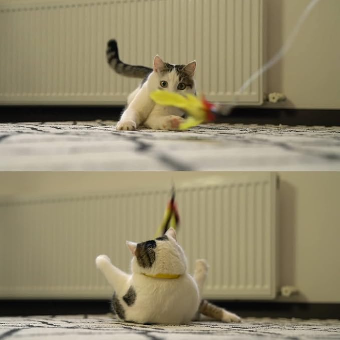 11PCS Cat Feather Toys Refills, 10PCS Feathers and 1PC String, Interactive Cat Wand Toy Replacement for Bored Indoor Adult Cats & Kittens-Mewly Pet