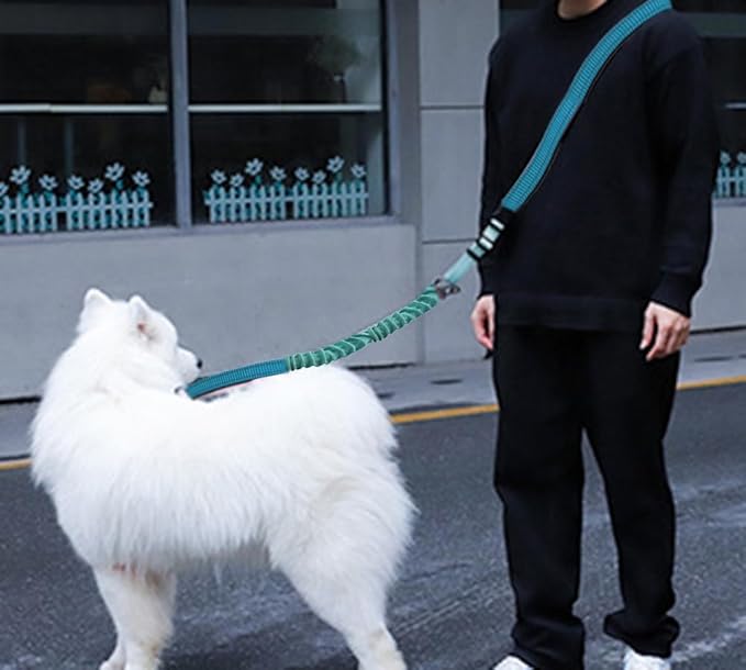 Hands Free Dog Leash for Large Medium Dogs Heavy Duty Bungee Reflective Adjustable Waist Leashes for Walking Running with Car Buckle 4-6FT (Green)-Mewly Pet