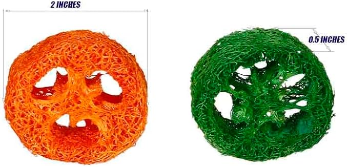 15 Pcs Fruit Flavored Loofah Slices Rabbit Chew Toys Guinea Pig Chew Toys Small Pet Chews Bunny Toys for Teeth Rabbit Toys-Mewly Pet