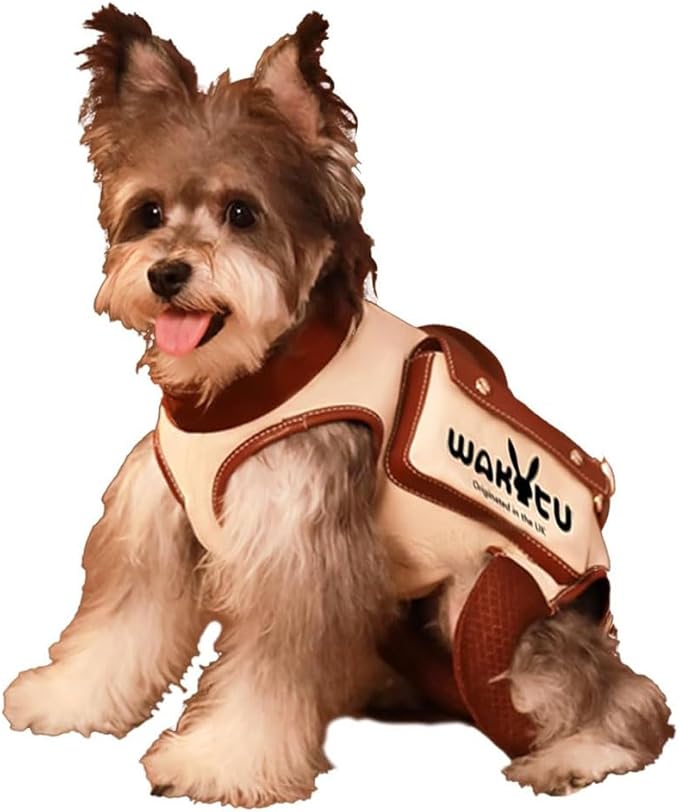 Dog Lift Harness Dog Carrier VES Harness Adjustable Leash with Small Puppy Treat Bag,Fits Most Cars,L-Mewly Pet