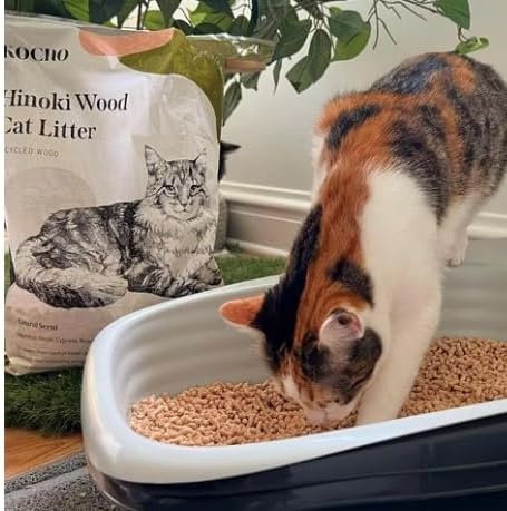 KOCHO Hinoki Wood Cat Litter Ultra Lightweight, Fresh Scent of Japanese Cypress (7pcs Pack (23.8LB))-Mewly Pet