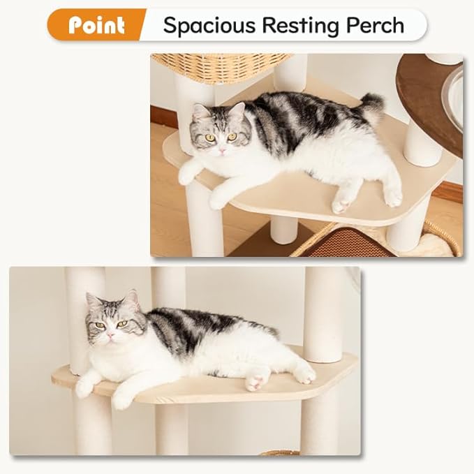 48'' Cat Tree for Large Cats, Modern Cat Tree Multi-Level Condo with Natural Wood, Cat Activity Centre for Medium and Big Pets-Mewly Pet