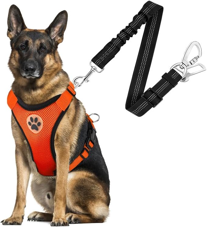 SlowTon Dog Seat Belt Harness for Car, Dog Car Harness Adjustable Mesh Breathable & Dog Seatbelt Safety Tether with Elastic Bungee for Small Medium Large Pets(Orange, Double Clip, L)-Mewly Pet