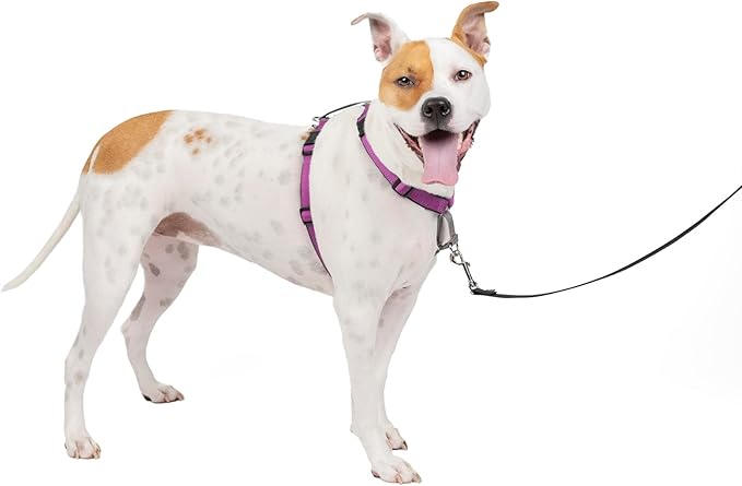 PetSafe 3 in 1 Dog Harness - No Pull Solution for Dogs - Reflective Dog Harness - Front D-Ring Clip Helps Stop Pulling - Comfortable Padded Straps - Top Handle Enhances Control - Plum - Medium-Mewly Pet