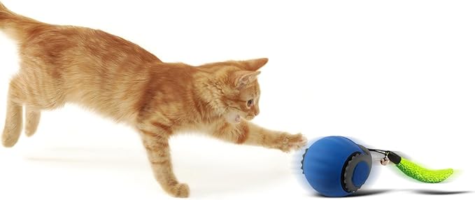 Smart Speedy 3.0 Interactive Cat Ball with Auto Obstacle Avoidance - Indoor Kitten Toy for Mental Stimulation & Playtime Fun ，2025 Edition (Blue)-Mewly Pet