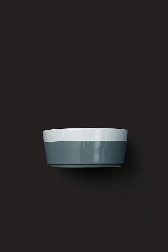 Waggo Dipper Ceramic Dog Bowl for Small and Large Breeds - Heavyweight and Durable Pet Food and Water Dish Crock, Dishwasher Safe, Modern (Dolphin, Large)-Mewly Pet