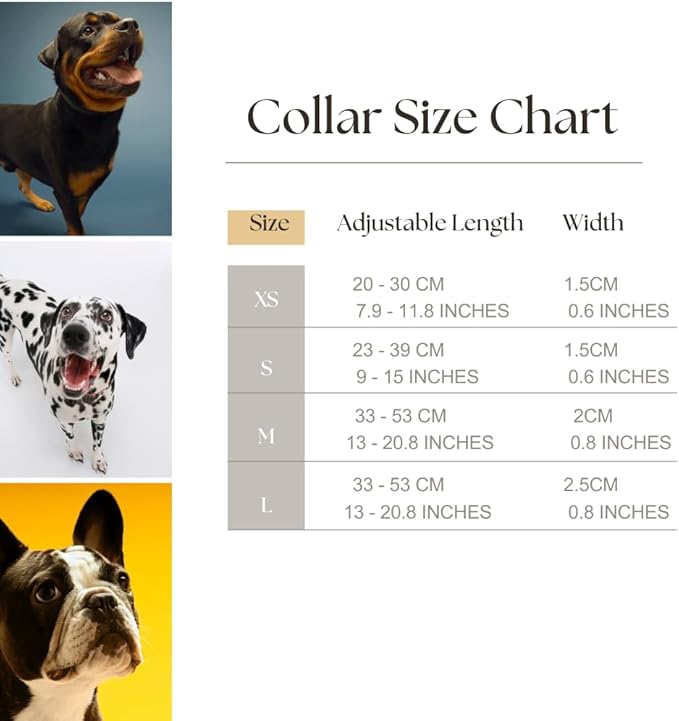 HILLBERRY Dog Collar and Leash Set Adjustable Rainbow Pink Purple Blue Puppy Pet Essentials and Supplies - Size L-Mewly Pet