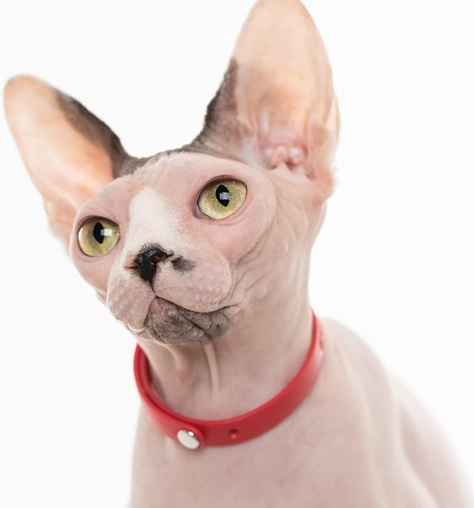 Red Cat Collar - Soft, Comfortable, and Lightweight Breakaway Collar with Name Tag Ring for Outdoor Cats and Sensitive Skin Kittens by Nuvuq (6 ⅞" to 10 ¼", Red)-Mewly Pet