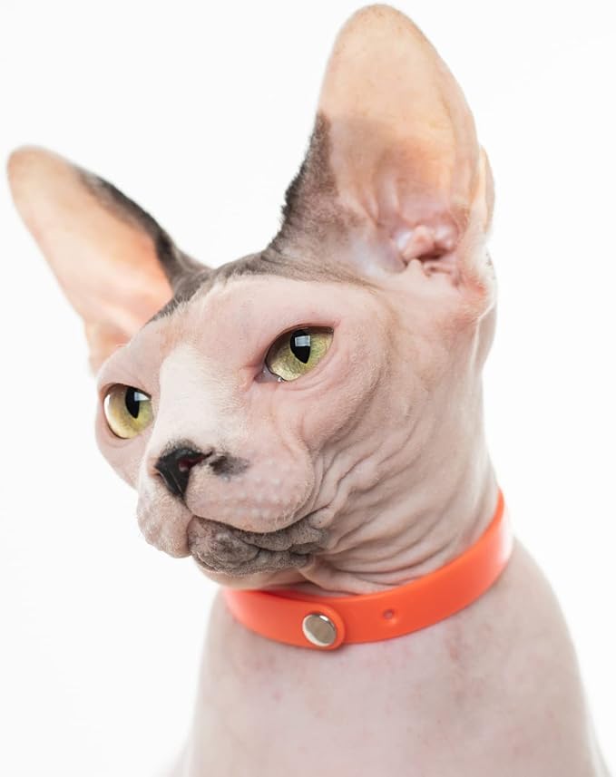 5 Pack Breakaway Cat Collar - Soft, Comfortable, and Lightweight Safety Buckle Collar with ID Tag Ring for Outdoor Cats and Kittens by Nuvuq (6 ⅞" to 10 ¼", Red, Orange, Pink, Blue and Black)-Mewly Pet