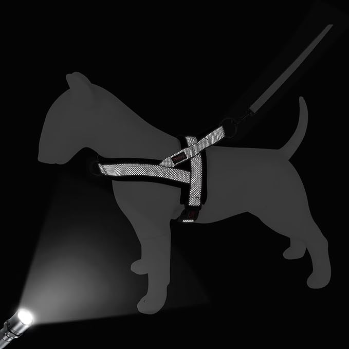 Didog No Pull Dog Harness with Breathable Mesh Padded, Full Reflective & Quick Fit Adjustable Vest Harness, Easy for Training Walking for Small & Medium and Large Dogs (Black, S:Chest 18-22")-Mewly Pet