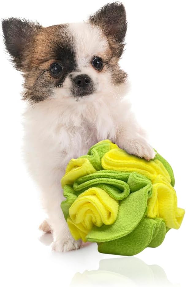 Puppy and Small Breed Snuffle Interactive Foraging Dog Puzzle Ball Toy Lemon Lime Yellow and Green-Mewly Pet
