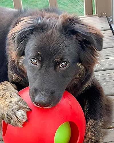 Jolly Pets Teaser Ball Dog Toy, Large/8 Inches, Red-Mewly Pet