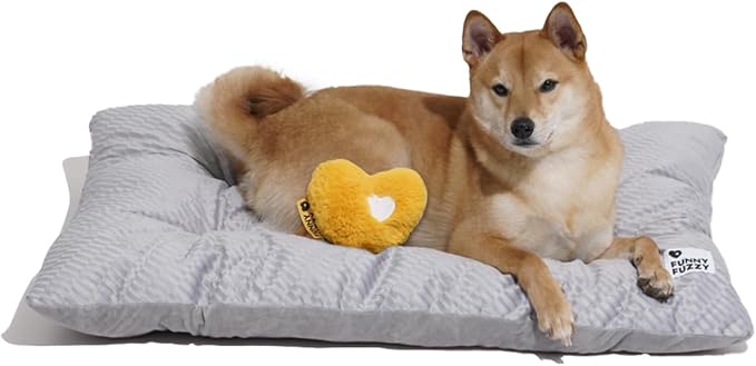 FUNNY FUZZY Dog Bed Crate Pad Mat, Washable Reversible Pet Floor Mats,Fluffy Kennel Pad for Large Sized Dog,Indoor Cats,Sleeping Mattress, 35.4" × 22.8", Light Grey-Mewly Pet