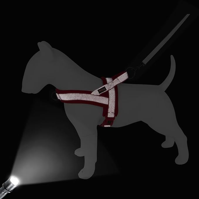 Didog No Pull Dog Harness with Breathable Mesh Padded, Full Reflective & Quick Fit Adjustable Vest Harness, Easy for Training Walking for Small & Medium and Large Dogs (Red, M:Chest 21-26")-Mewly Pet