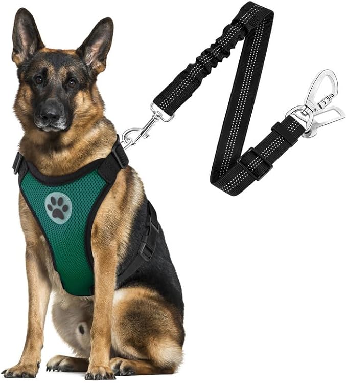 SlowTon Dog Seat Belt Harness for Car, Dog Car Harness Adjustable Mesh Breathable & Dog Seatbelt Safety Tether with Elastic Bungee for Small Medium Large Pets(Green, Double Clip, L)-Mewly Pet