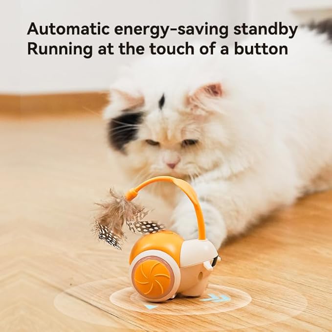 Cat Toys for Bored Indoor Adult Cats,Remote Control Cat Toy with 4 Directions,LED Lights Interactive Remote Control Dog Toy (Orange)-Mewly Pet