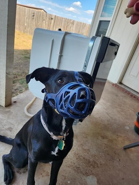 Mayerzon Dog Muzzle, Breathable Basket Muzzles for Small, Medium, Large and X-Large Aggressive Dogs Beagle German Shepherd Doberman, Cage Mouth Guard Stop Biting Chewing for Grooming Training-Mewly Pet