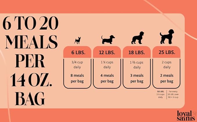 Freeze Dried Raw Dog Food - Premium Turkey and Salmon Flavor with High Protein and Grain Free Dog Food for All Breeds and Picky Eaters - Versatile as Meal Topper, Snack, and Treats, 14 Oz-Mewly Pet