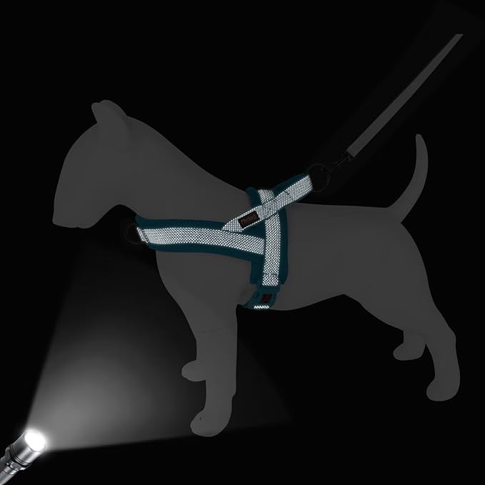 Didog No Pull Dog Harness with Breathable Mesh Padded, Full Reflective & Quick Fit Adjustable Vest Harness, Easy for Training Walking for Small & Medium and Large Dogs (Blue, M:Chest 21-26")-Mewly Pet