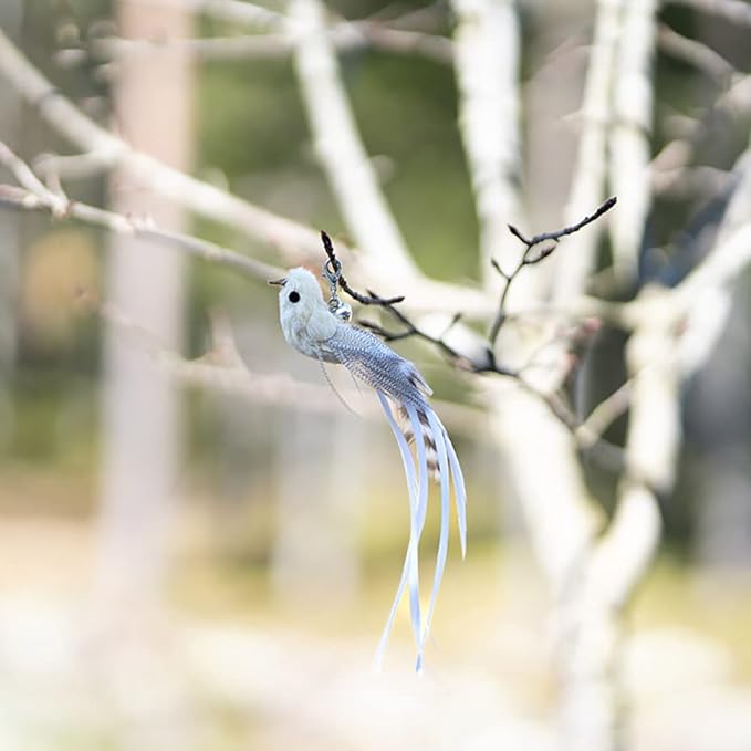 Leo's Paw Interactive Bird Simulation Cat Toy Set Realistic & Colorful with Feathers & Bells on Wand Stimulating Real-Life Flying Bird Impression for Hunting Exercise & Play (Replacement Birds 5 PCS)-Mewly Pet