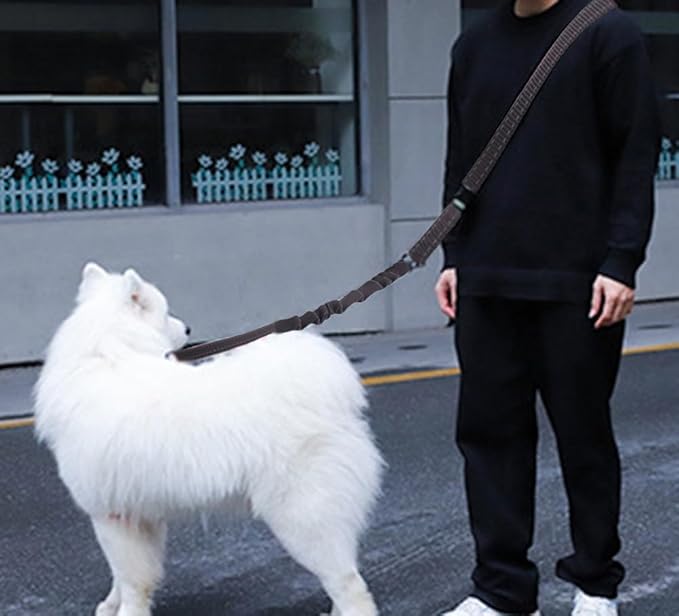 Hands Free Dog Leash for Large Medium Dogs Heavy Duty Bungee Reflective Adjustable Waist Leashes for Walking Running with Car Buckle 4-6FT (Black)-Mewly Pet