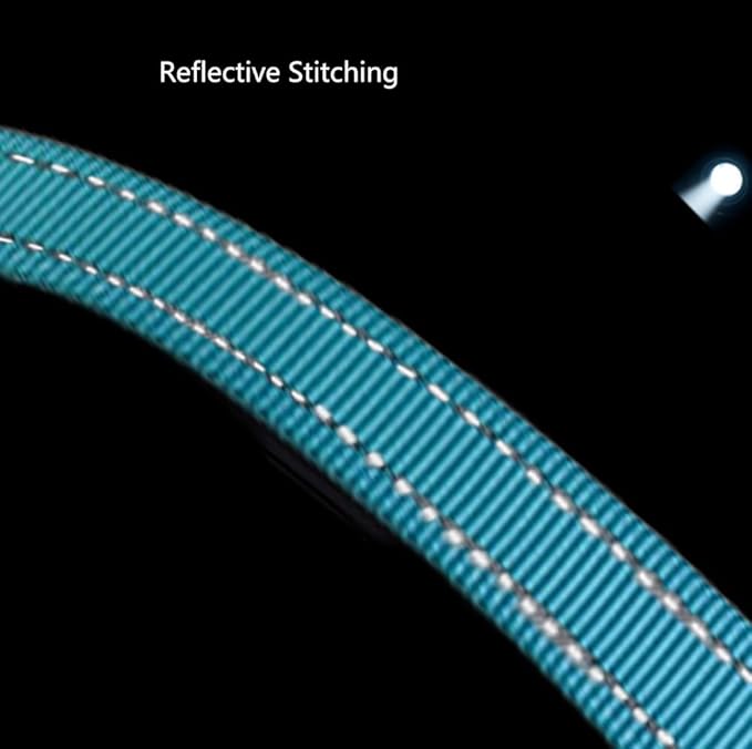 Hands Free Dog Leash for Large Medium Dogs Heavy Duty Bungee Reflective Adjustable Waist Leashes for Walking Running with Car Buckle 4-6FT (Green)-Mewly Pet