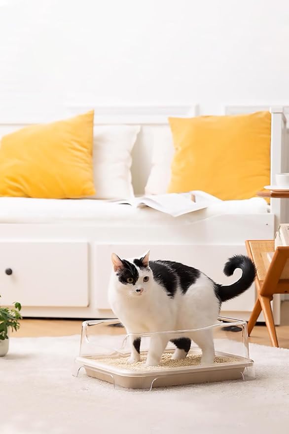 Disposable Small Litter Boxes for Cats, Litter Box for Recovery, Kitten Travel Tray, Shallow, Low-Entry Litterbox for Senior Cats (5-Pack)-Mewly Pet