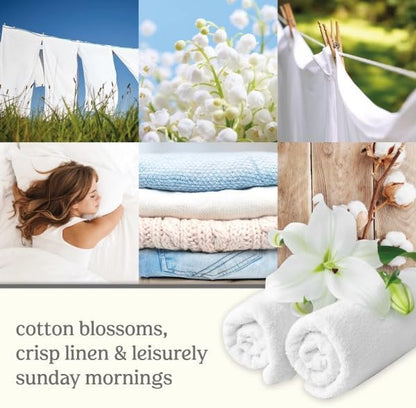 Yankee Candle Scent Plug Refill, Clean Cotton (Pack of 6)