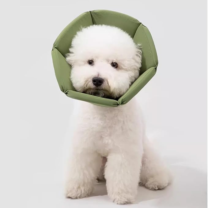 Cat Cone Collar - Soft Waterproof Elizabethan for Cats, Cute Green Flower Anti-Lick Recovery Collar, Adjustable Healing Collar for Wound Care & Surgery，L-Mewly Pet