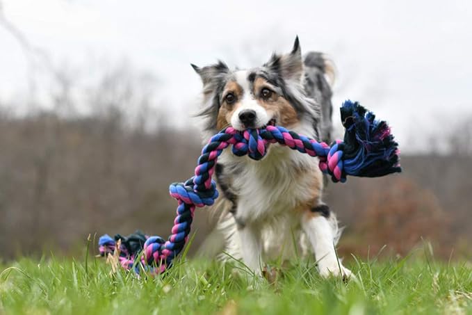 Mammoth Flossy Chews Color Rope Tug – Premium Cotton-Poly Tug Toy for Dogs – Interactive Dog Rope Toy – Tug Dog Chew Toy-Mewly Pet