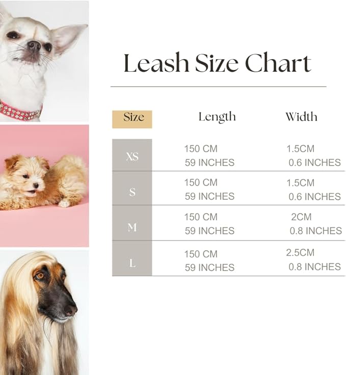 HILLBERRY Dog Collar and Leash Set Adjustable Rainbow Pink Purple Blue Puppy Pet Essentials and Supplies - Size XS-Mewly Pet